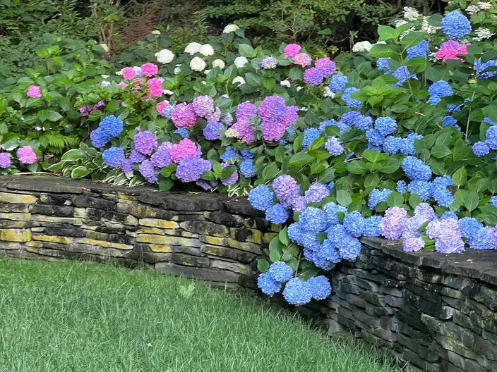 The Garden Conservancy Preservation Partner Garden