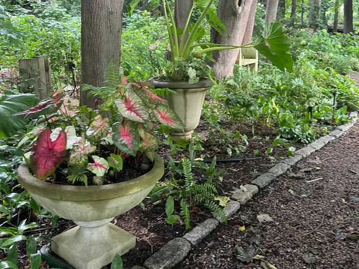 The Garden Conservancy Preservation Partner Garden