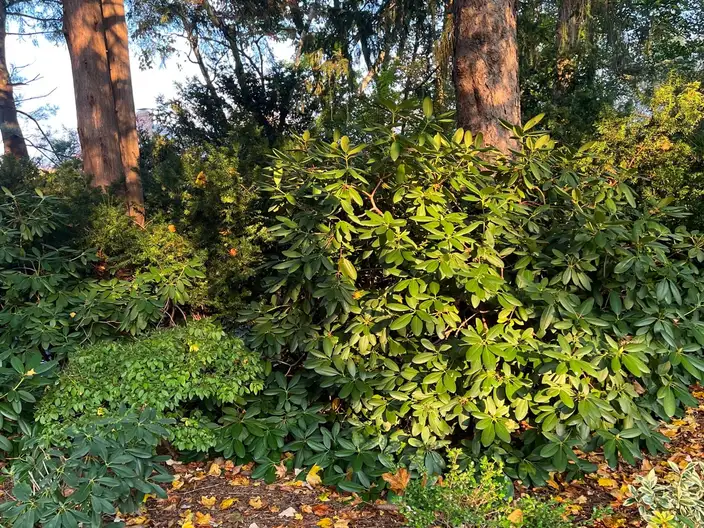 The Garden Conservancy Preservation Partner Garden