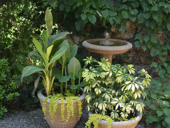 The Garden Conservancy Preservation Partner Garden