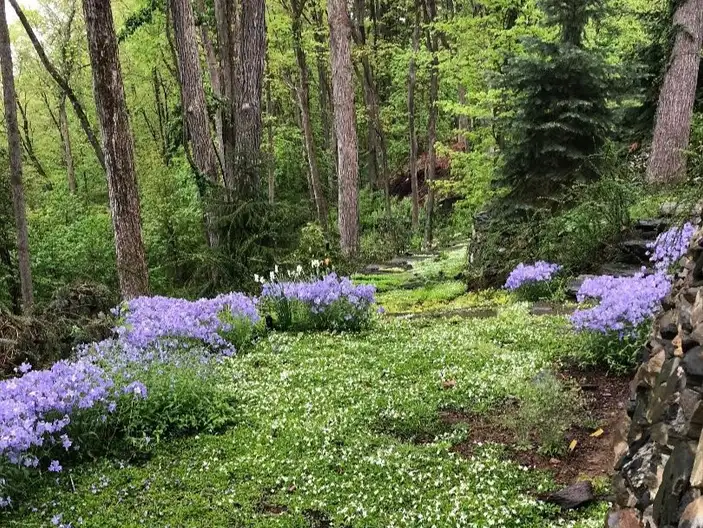 The Garden Conservancy Preservation Partner Garden