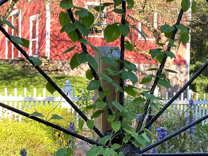 The Garden Conservancy Preservation Partner Garden