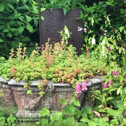 The Garden Conservancy Preservation Partner Garden