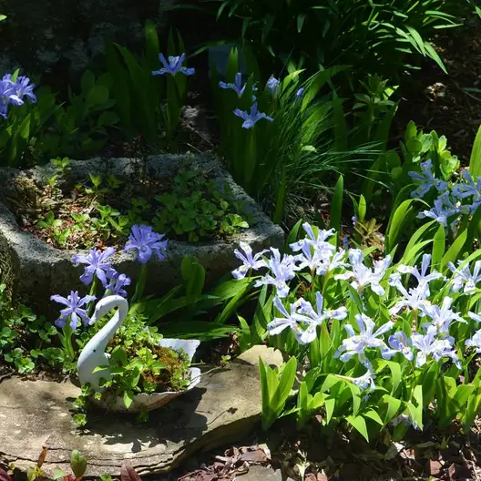 The Garden Conservancy Preservation Partner Garden
