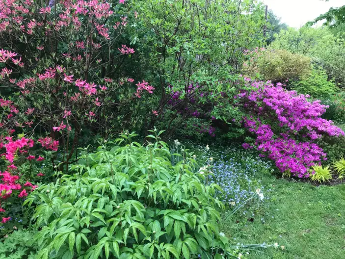 The Garden Conservancy Preservation Partner Garden