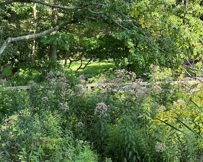 The Garden Conservancy Preservation Partner Garden