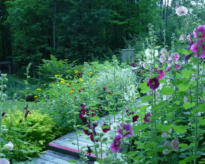 The Garden Conservancy Preservation Partner Garden