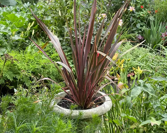 The Garden Conservancy Preservation Partner Garden