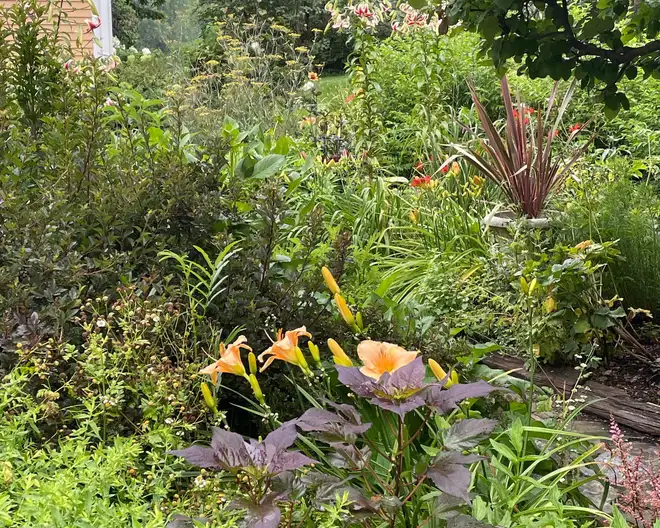 The Garden Conservancy Preservation Partner Garden