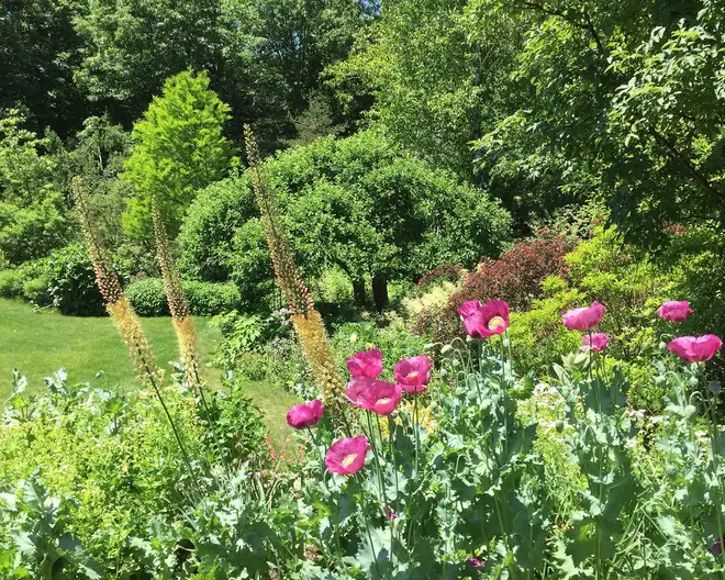 The Garden Conservancy Preservation Partner Garden