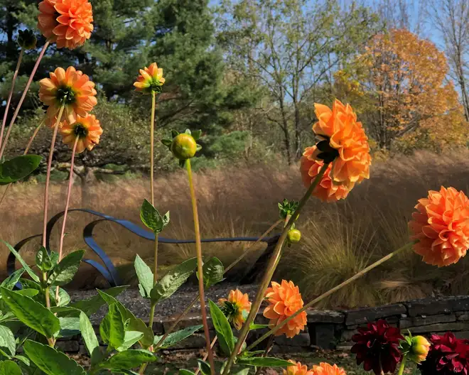 The Garden Conservancy Preservation Partner Garden