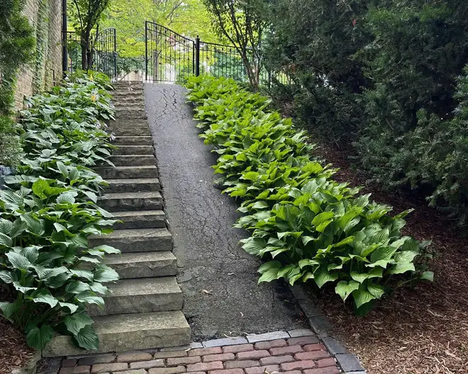 The Garden Conservancy Preservation Partner Garden