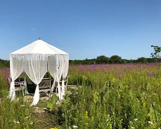 The Garden Conservancy Preservation Partner Garden