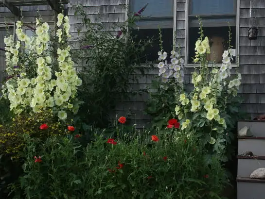 The Garden Conservancy Preservation Partner Garden