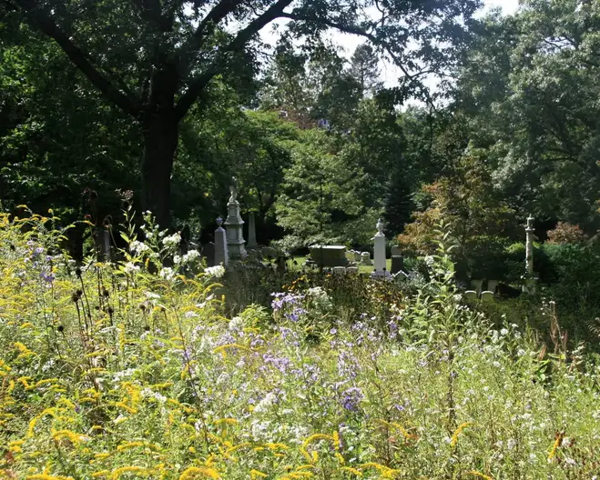 The Garden Conservancy Preservation Partner Garden