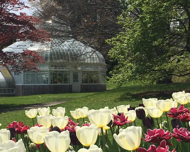 The Garden Conservancy Preservation Partner Garden