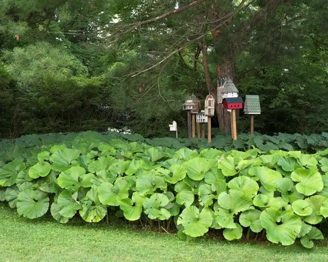 The Garden Conservancy Preservation Partner Garden