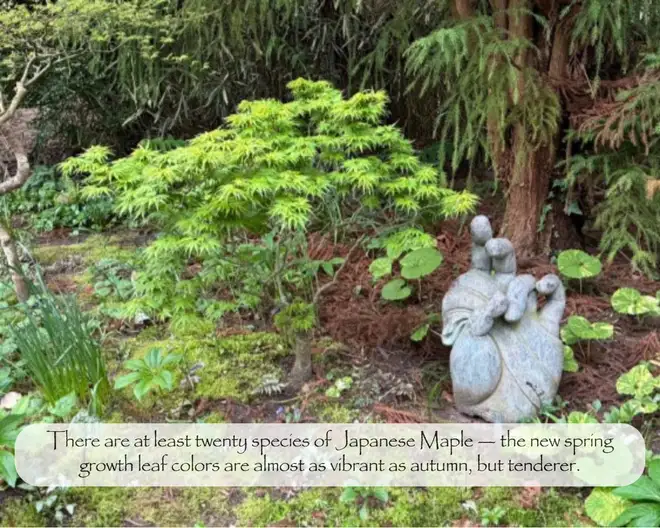 The Garden Conservancy Preservation Partner Garden