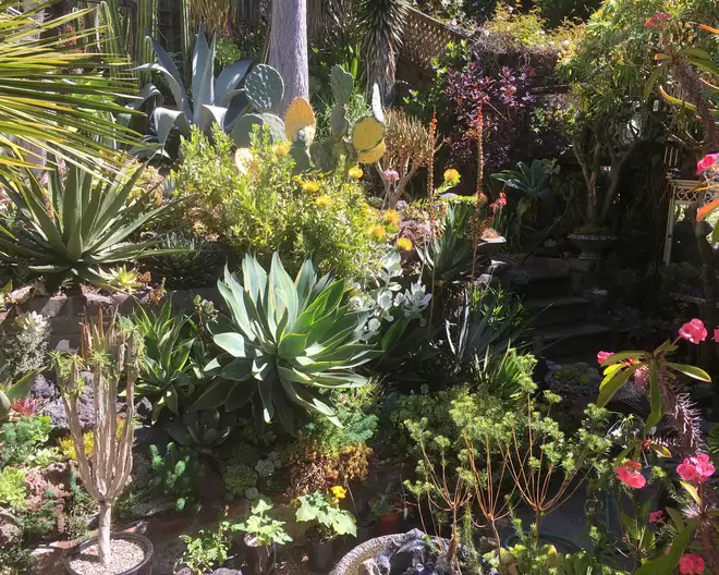The Garden Conservancy Preservation Partner Garden