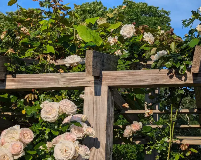 The Garden Conservancy Preservation Partner Garden
