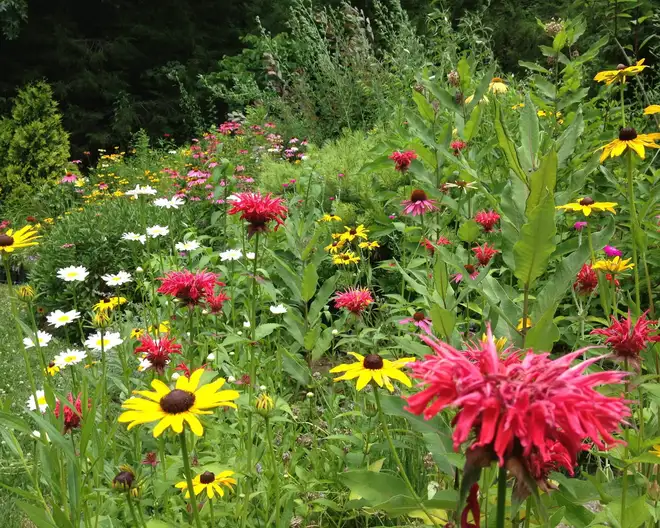 The Garden Conservancy Preservation Partner Garden