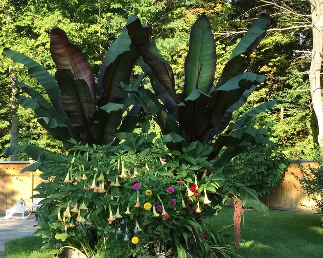 The Garden Conservancy Preservation Partner Garden
