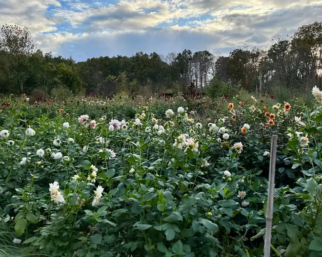 The Garden Conservancy Preservation Partner Garden