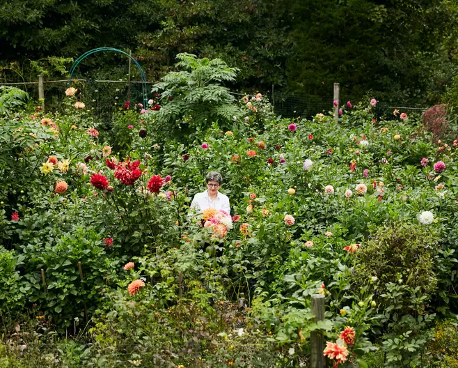 The Garden Conservancy Preservation Partner Garden