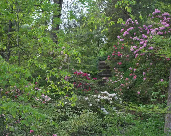 The Garden Conservancy Preservation Partner Garden
