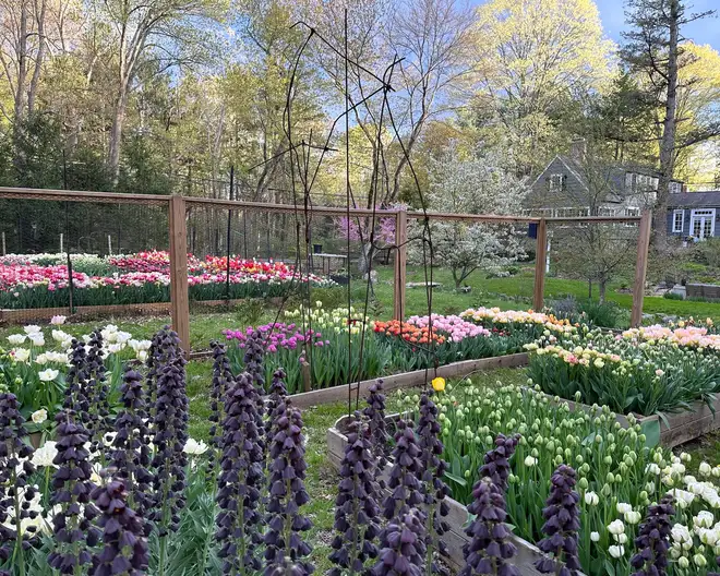 The Garden Conservancy Preservation Partner Garden