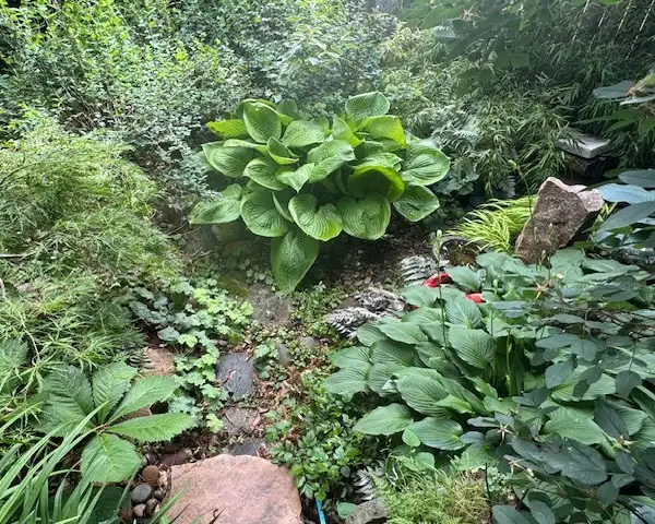 The Garden Conservancy Preservation Partner Garden