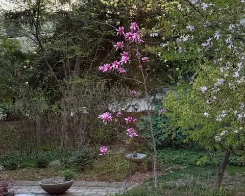 The Garden Conservancy Preservation Partner Garden