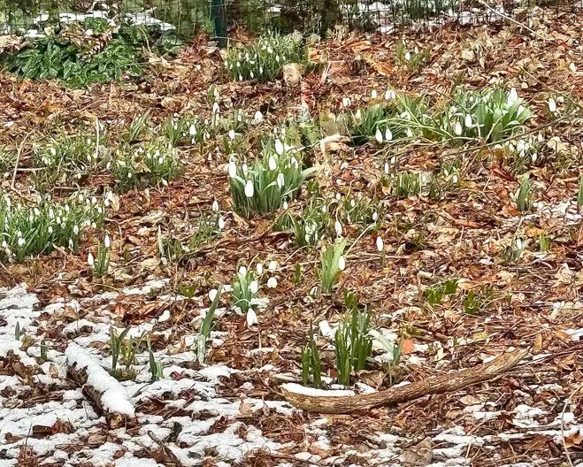 The Garden Conservancy Preservation Partner Garden