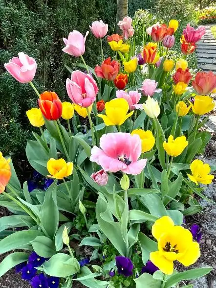 The Garden Conservancy Preservation Partner Garden