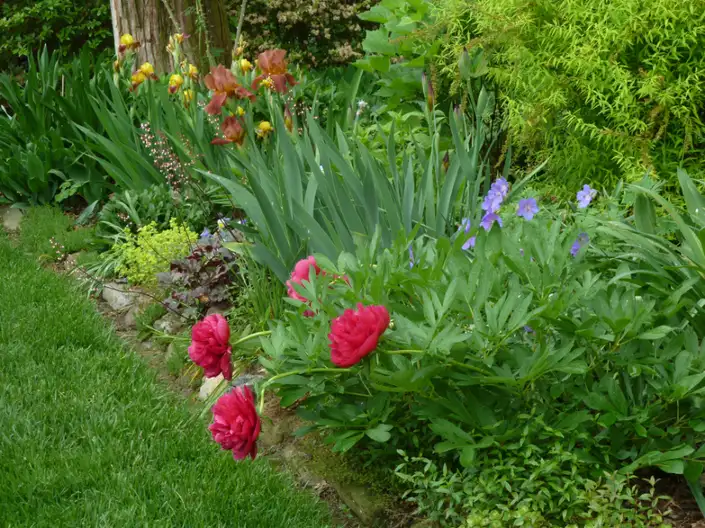 The Garden Conservancy Preservation Partner Garden