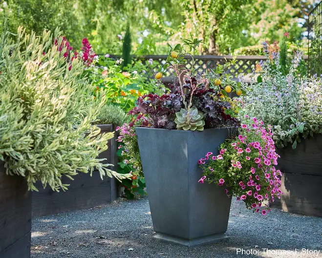 The Garden Conservancy Preservation Partner Garden