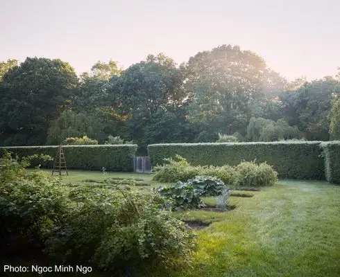 Photo: Ngoc Minh Ngo