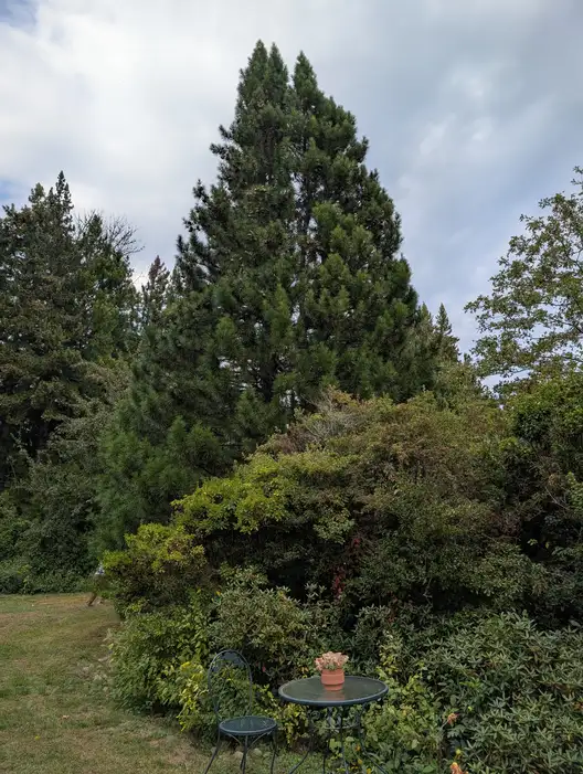 The Garden Conservancy Preservation Partner Garden