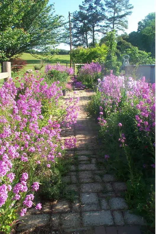 The Garden Conservancy Preservation Partner Garden