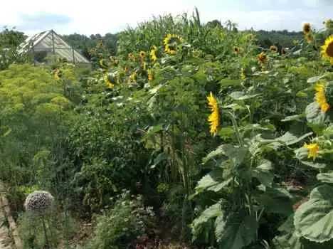 The Garden Conservancy Preservation Partner Garden