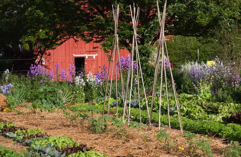 The Garden Conservancy Preservation Partner Garden