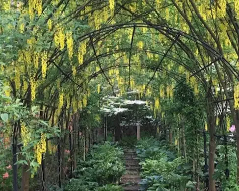 The Garden Conservancy Preservation Partner Garden