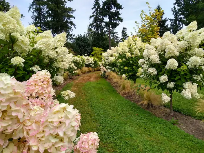 The Garden Conservancy Preservation Partner Garden