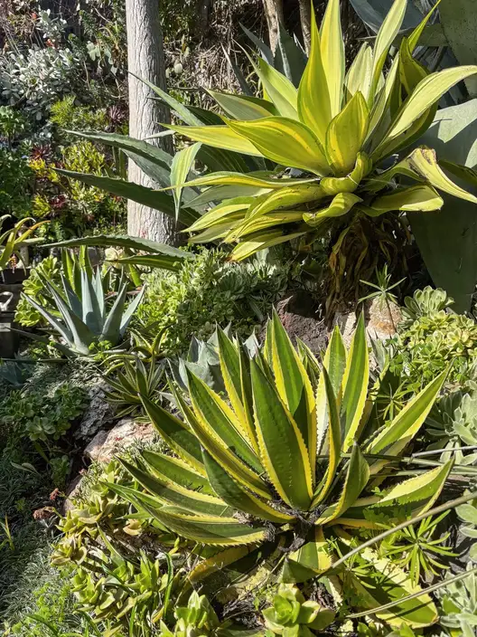 The Garden Conservancy Preservation Partner Garden