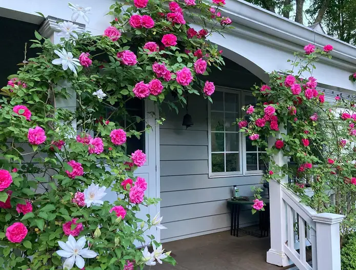 The Garden Conservancy Preservation Partner Garden