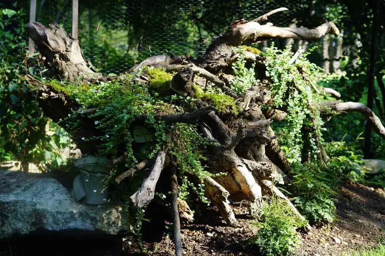 The Garden Conservancy Preservation Partner Garden