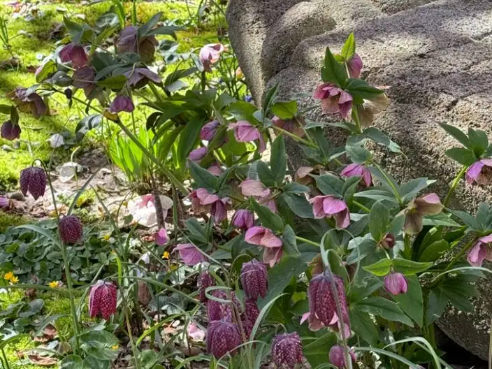 The Garden Conservancy Preservation Partner Garden