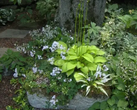 The Garden Conservancy Preservation Partner Garden