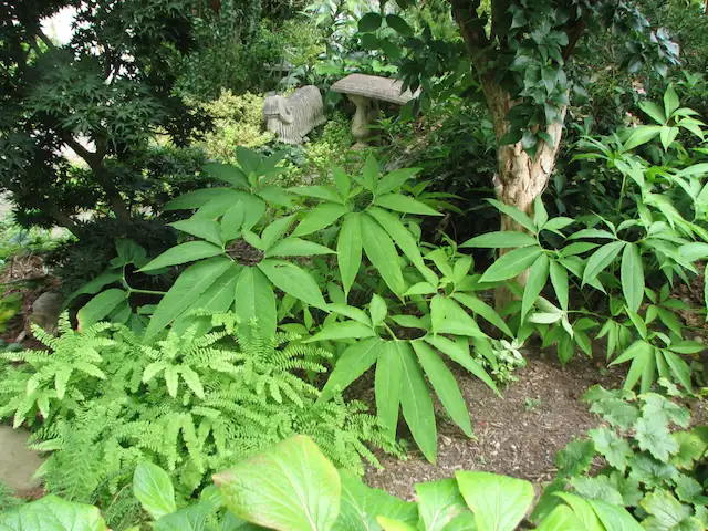 The Garden Conservancy Preservation Partner Garden