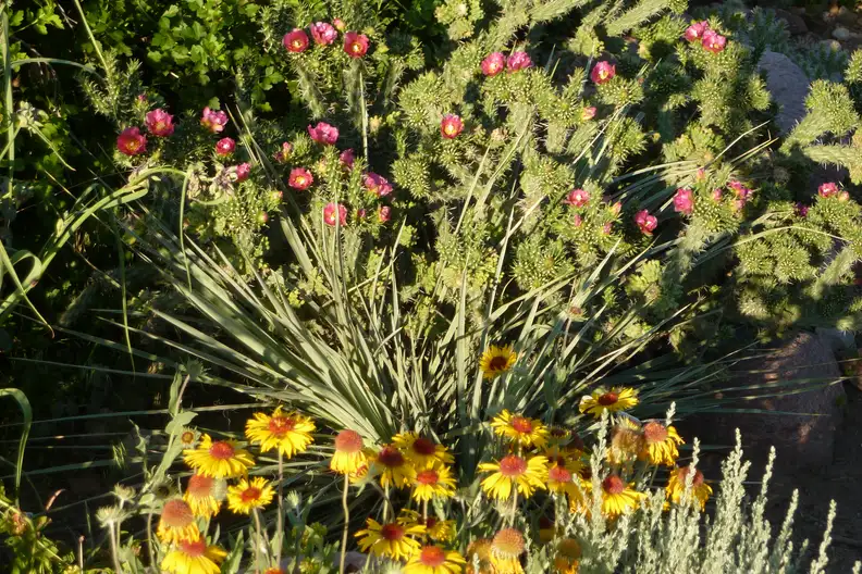 The Garden Conservancy Preservation Partner Garden